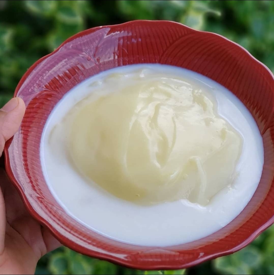 Top 7 Natural Foods to Improve Digestion and Gut Health in Nigeria